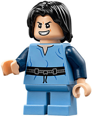 Lego shop 75191 price