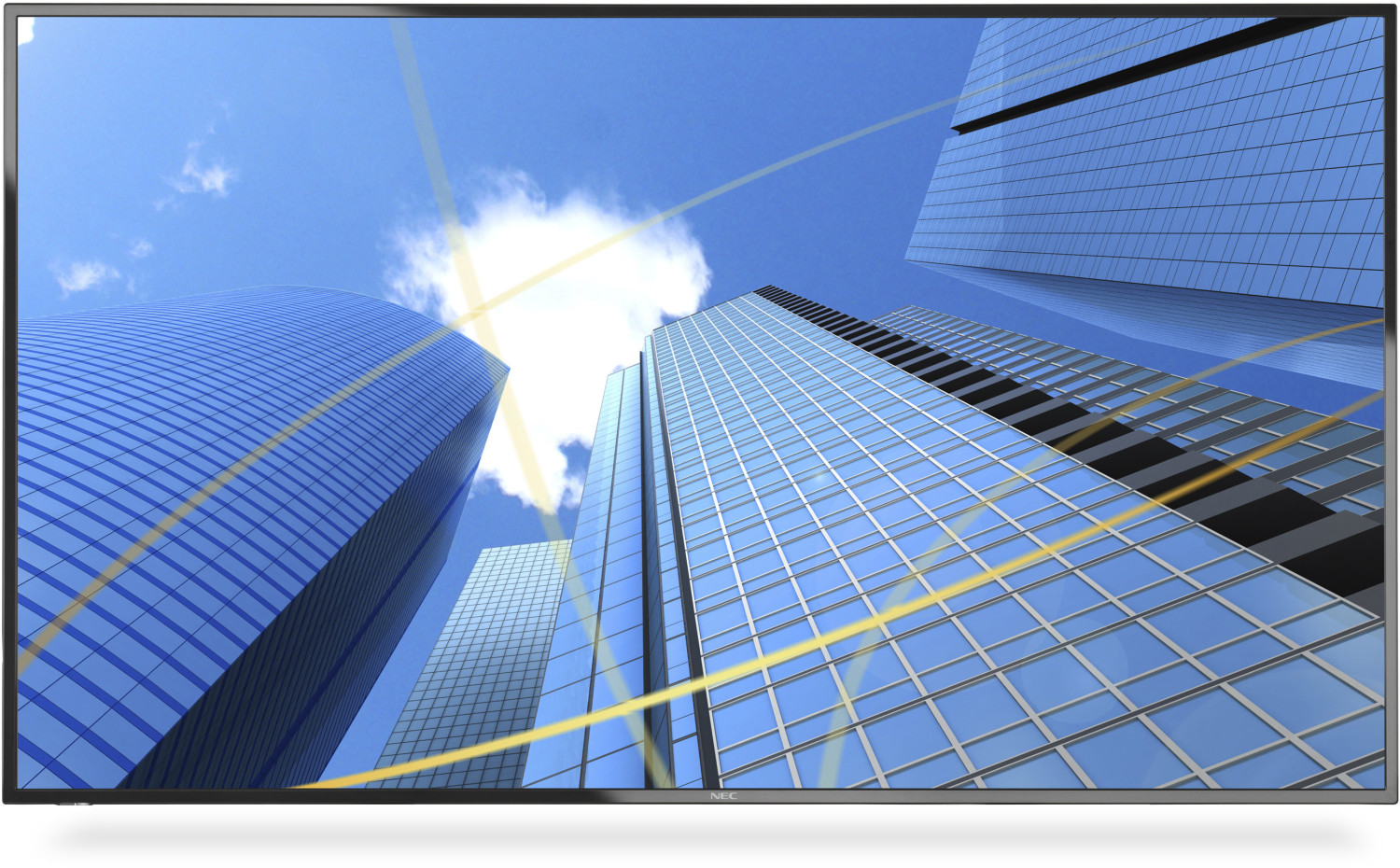 NEC Display Solutions MultiSync E556