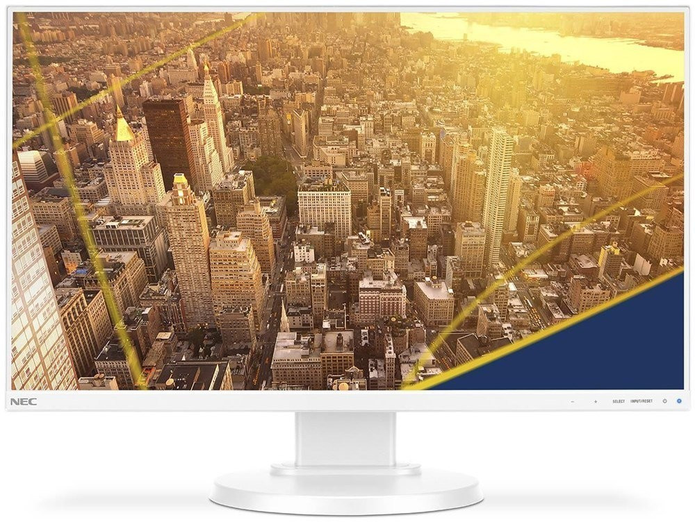 NEC Display Solutions MultiSync E241N