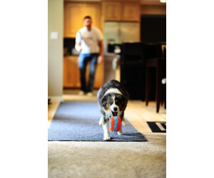 Chuckit indoor roller on sale