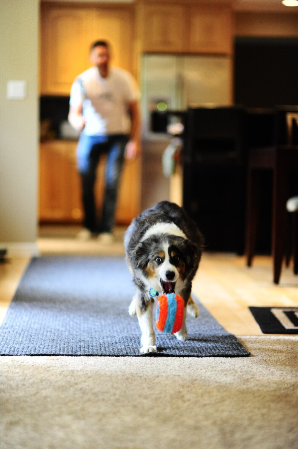 Chuckit! Jouet d'occupation pour chien