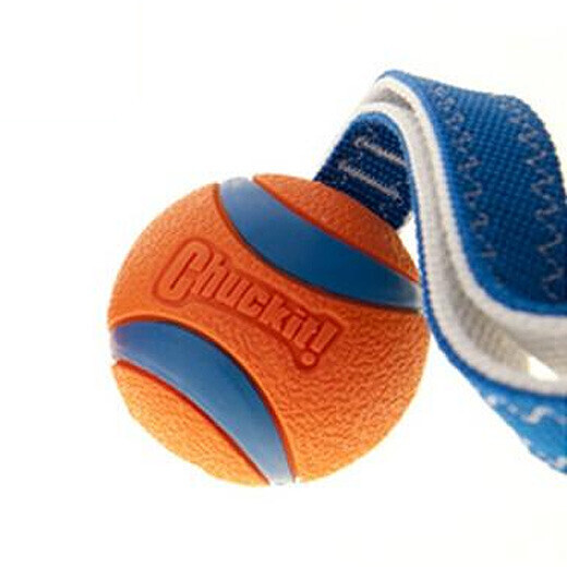 Chuckit! Ultra Tug Ball with rope L 7,5cm