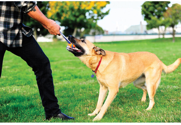 Chuckit! Balle pour chien S 5cm Chuckit! Balle pour chien S 5cm