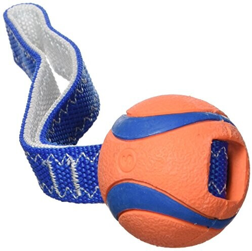 Chuckit! Balle pour chien S 5cm Chuckit! Balle pour chien S 5cm