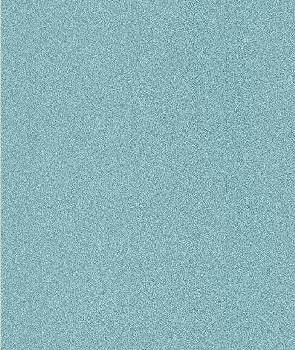 Rasch 475524