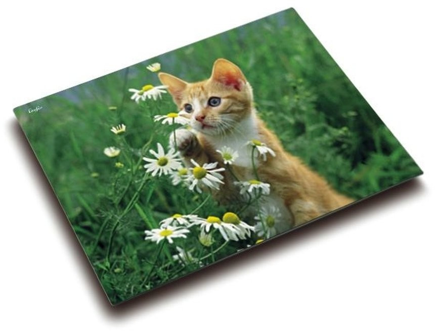 Läufer Sous-main chat avec fleur 400 x 530 mm