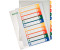 Leitz Register A4 1-6 volle Höhe PP farbig/transparent (12920000)
