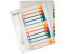 Leitz Register A4 1-12 volle Höhe PP farbig/transparent (12940000)