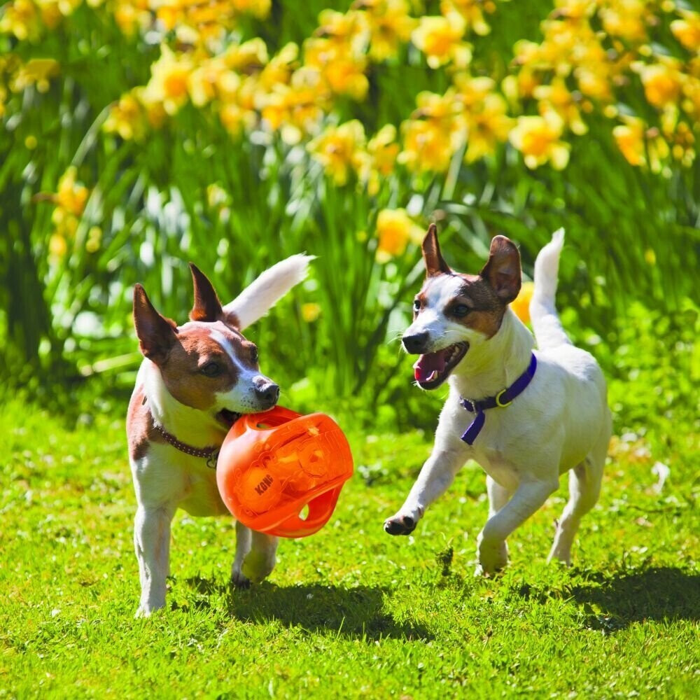 Kong Balle pour chien L/XL 17cm Kong Balle pour chien L/XL 17cm