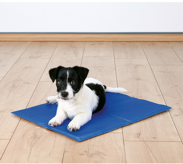 Trixie Tapis rafraîchissant pour chien Trixie Tapis rafraîchissant pour chien