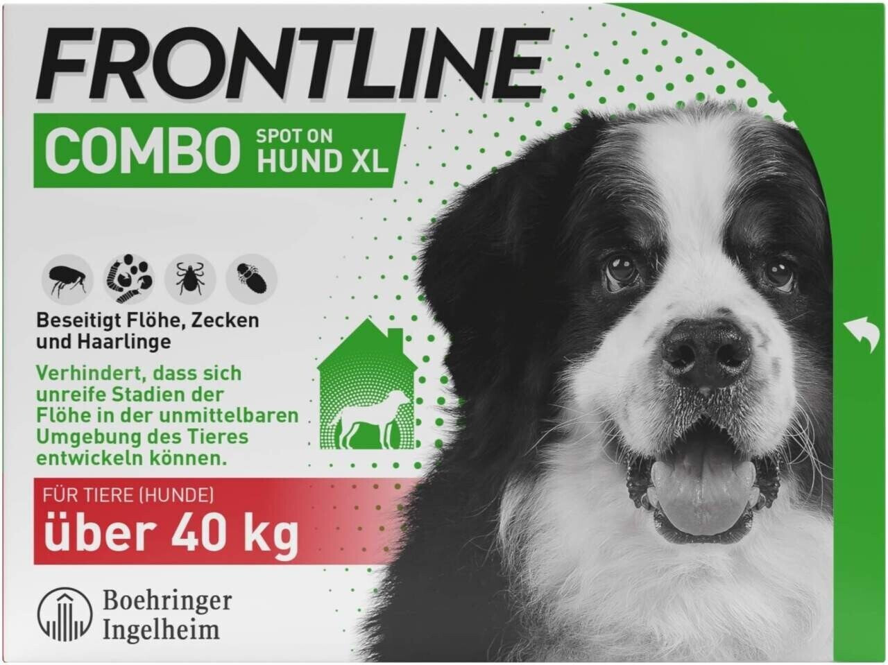 Frontline Combo Spot on chien XL 4 pipettes