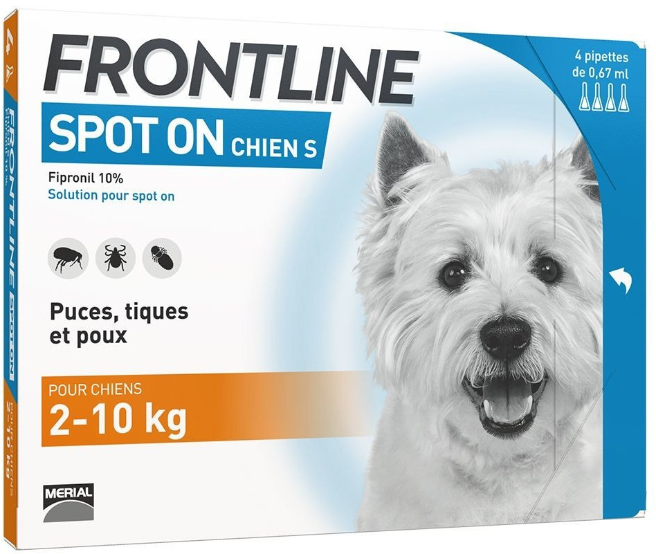 Frontline Spot on chien S 4 pipettes