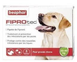 Beaphar Fiprotec chien grand 3 pipettes