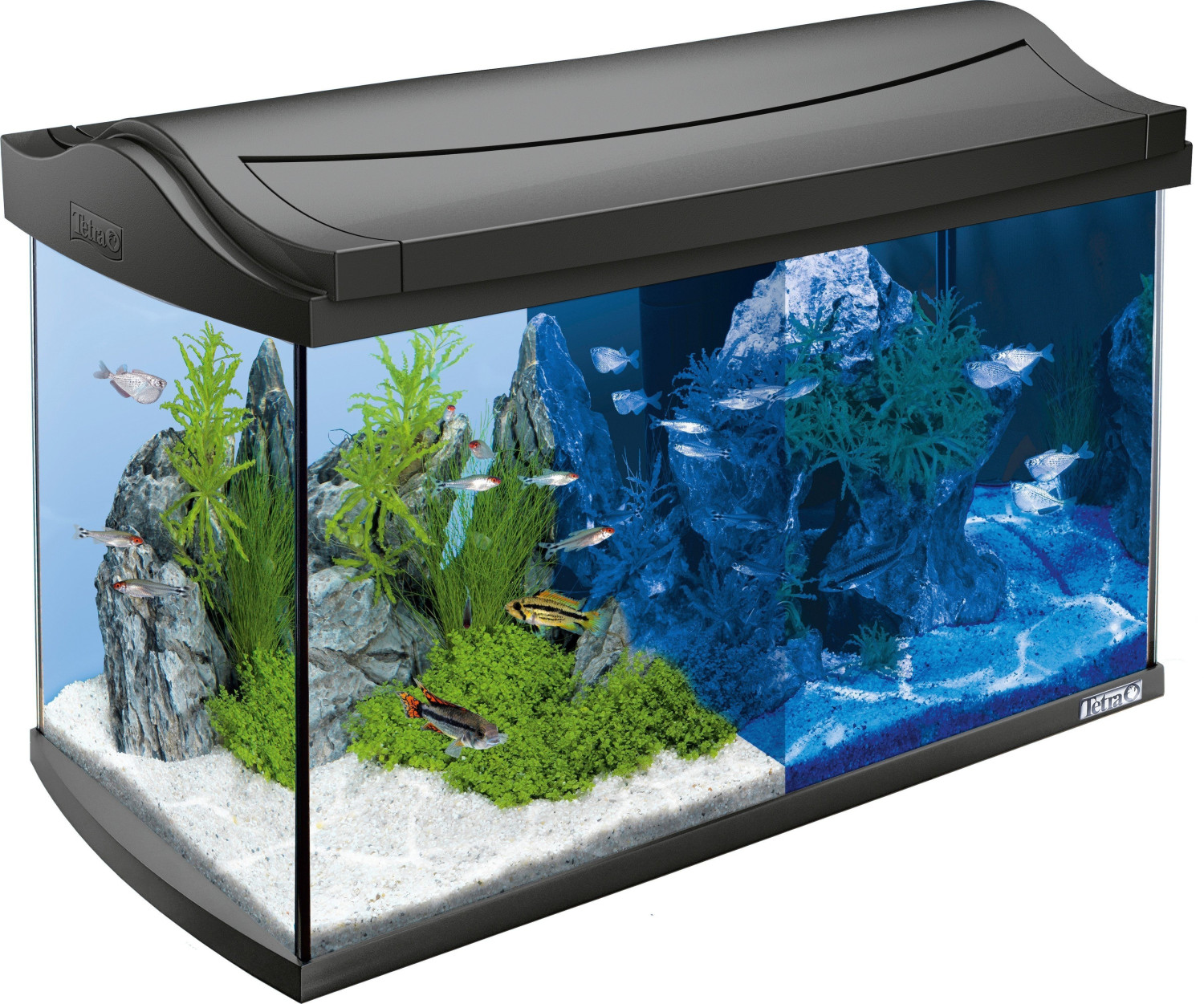 Tetra AquaArt LED 60 L dark grey