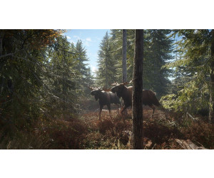 Thehunter Call Of The Wild Ps4 Ab 25 25 Preisvergleich Bei Idealo De