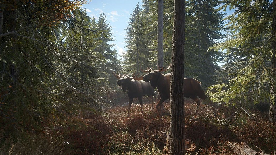 theHunter: Call of the Wild (PS4)