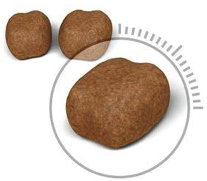 Royal Canin Croquettes pour chat 3.5 kg Royal Canin Croquettes pour chat 3.5 kg