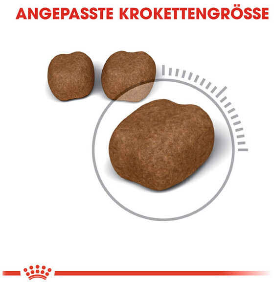 Royal Canin Croquettes pour chat 1.5 kg Royal Canin Croquettes pour chat 1.5 kg