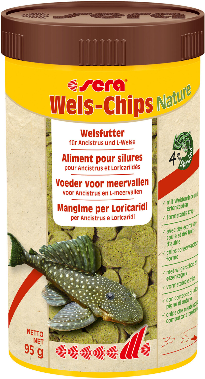 sera Sera Wels-Chips pour Ancistrus et Loricariidés raclant leur nourriture