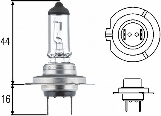 Hella H7 (8GH007157201)