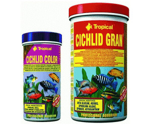 Tropical Cichlid Gran au meilleur prix sur