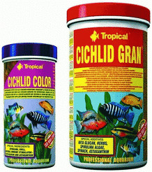 Tropical Cichlid Gran