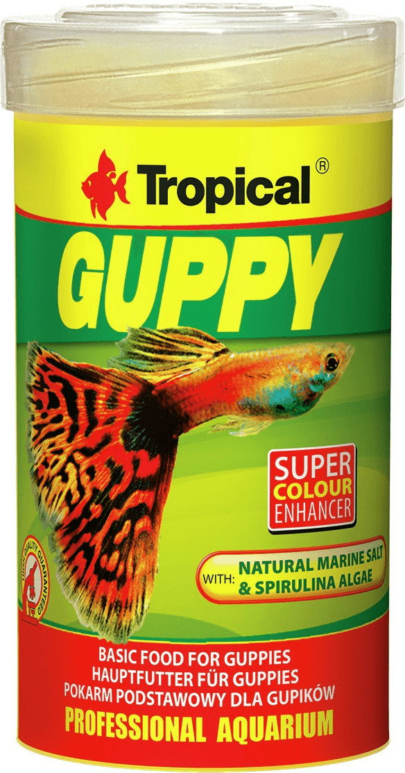 Tropical Guppy