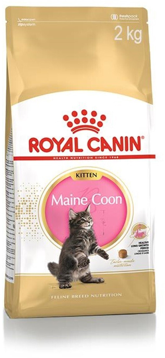 Royal Canin Maine Coon Kitten (2 kg)