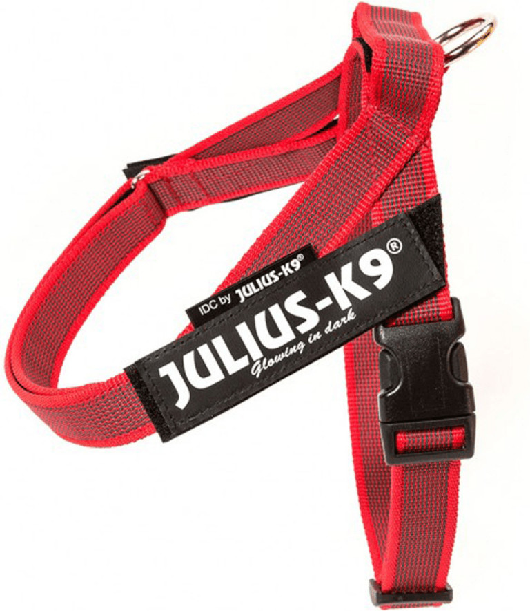 Julius K-9 Color & Gray Mini Mini - Red/Grey