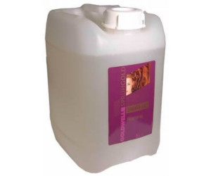 Goldwell Styling Sprühgold Classic non-Aerosol ab 8,10 ...