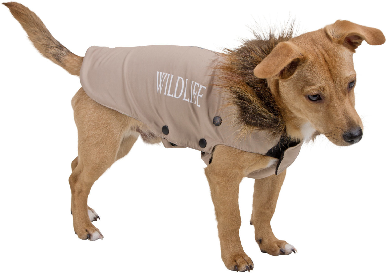 Kerbl Manteau pour chien Wild Life
