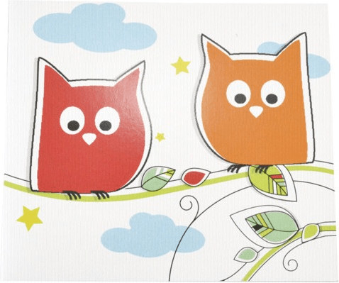 Daiber 1x25 Portrait Presentation Folder 13x18 owls