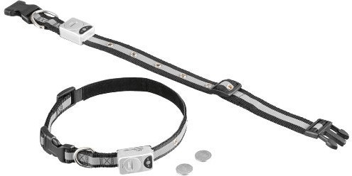 Nobby Dog collar LED