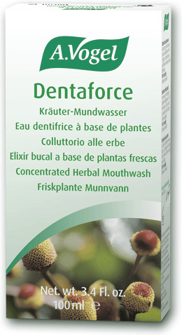 A. Vogel Dentaforce (100 ml)