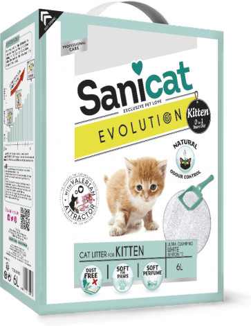 Sanicat Evolution Kitten