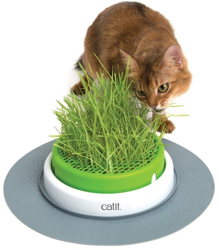 Catit Jardin d'herbe à chat Senses 2.0