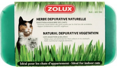 Zolux Herbe à chat dépurative naturelle