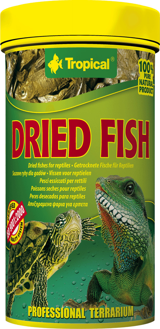 Tropical Dried Fish