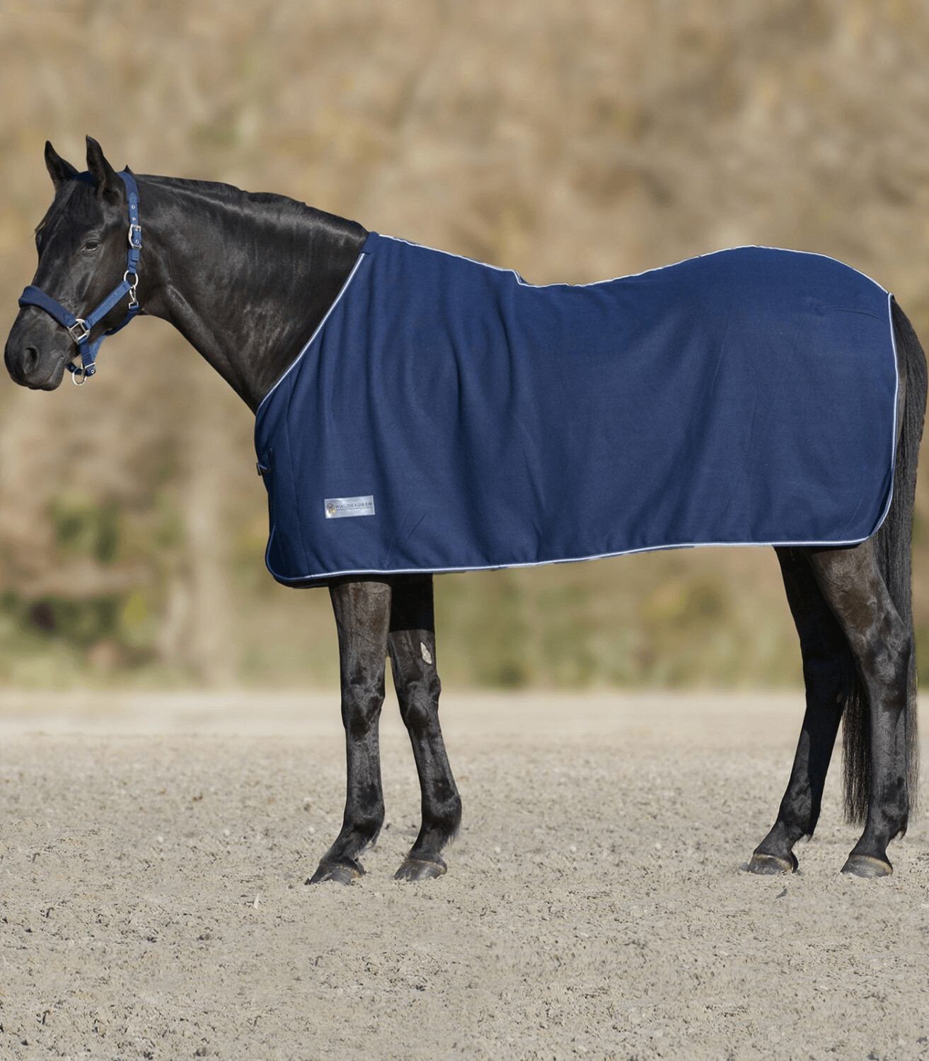 Waldhausen Economic Chemise en polaire