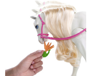 Barbie Traumpferd und Puppe (FRV36) ab € 67,89 Striegel Pferd, Spielzeug günstig gebraucht kaufen in