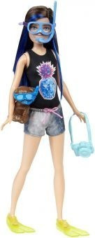 Barbie Skipper (FBD70)