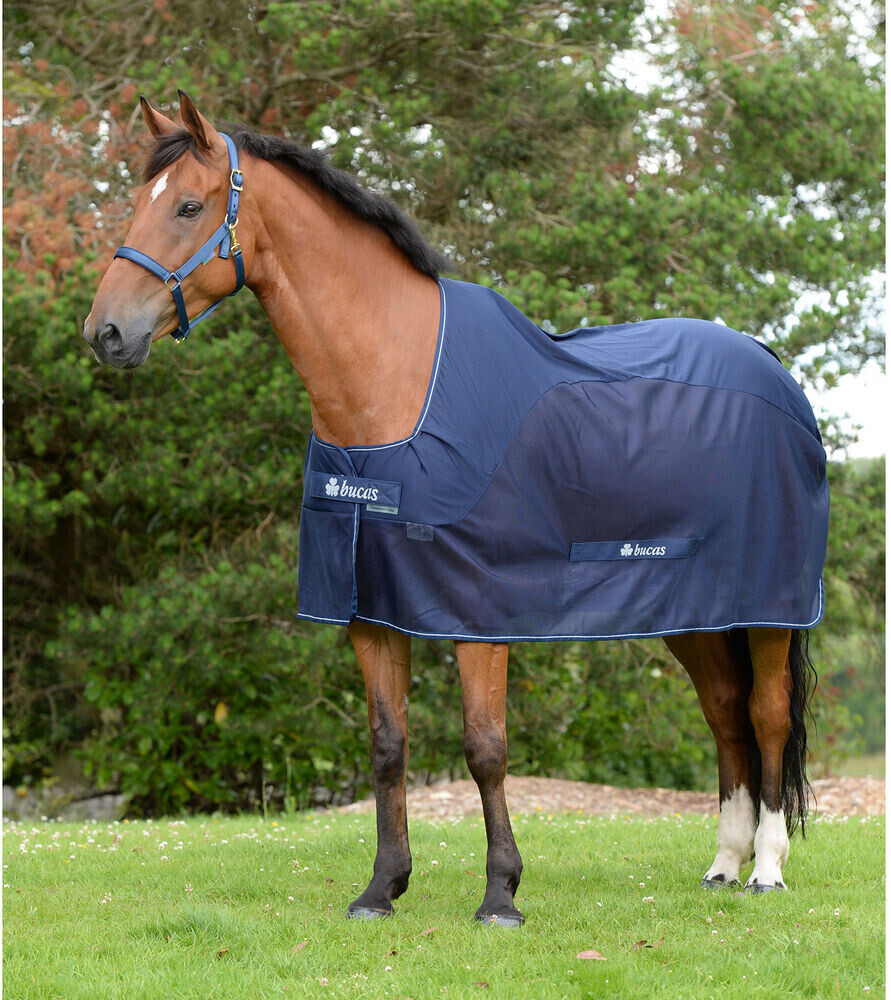 Bucas Competition Cooler navy/silver