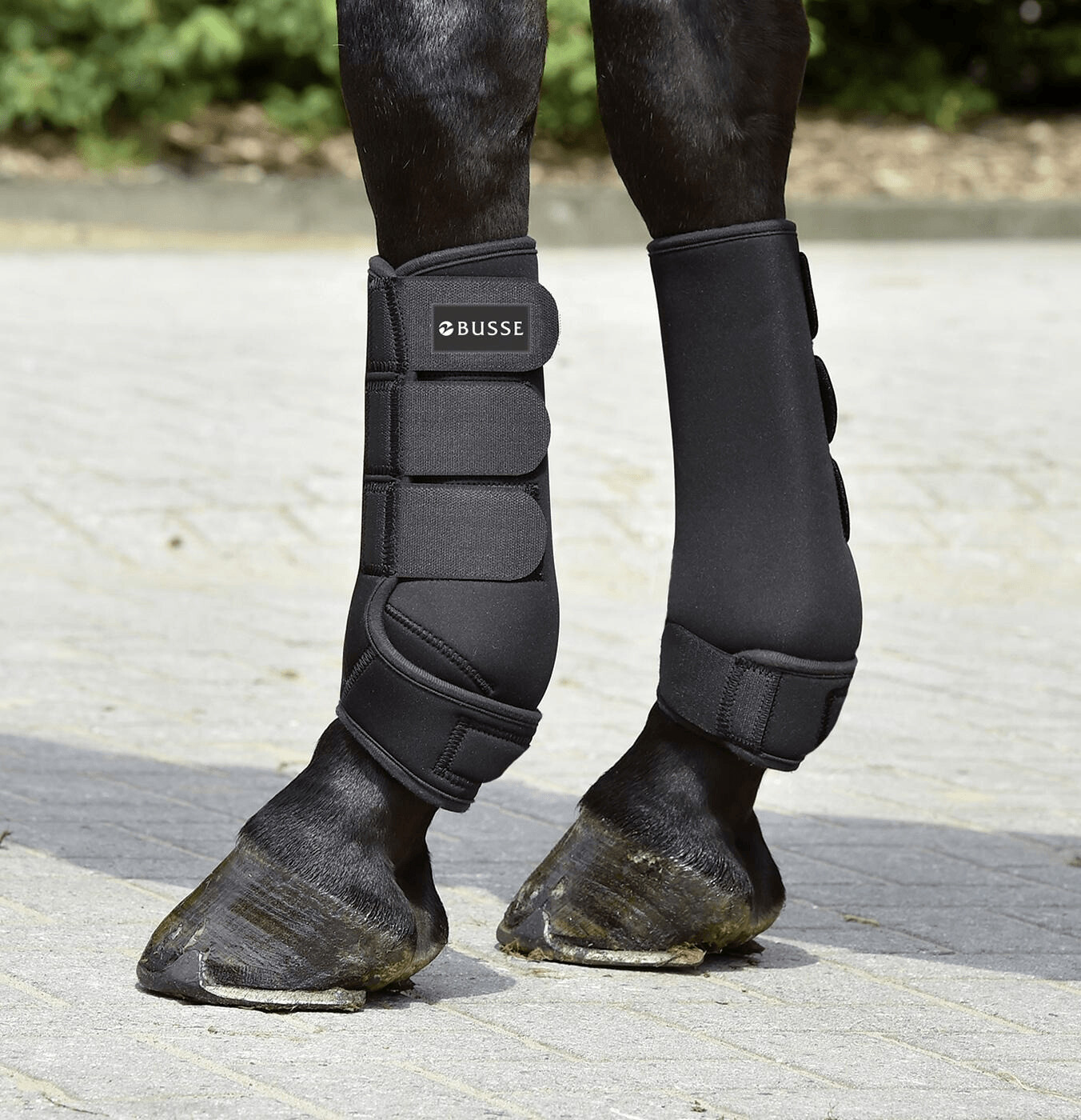 Busse BASIC