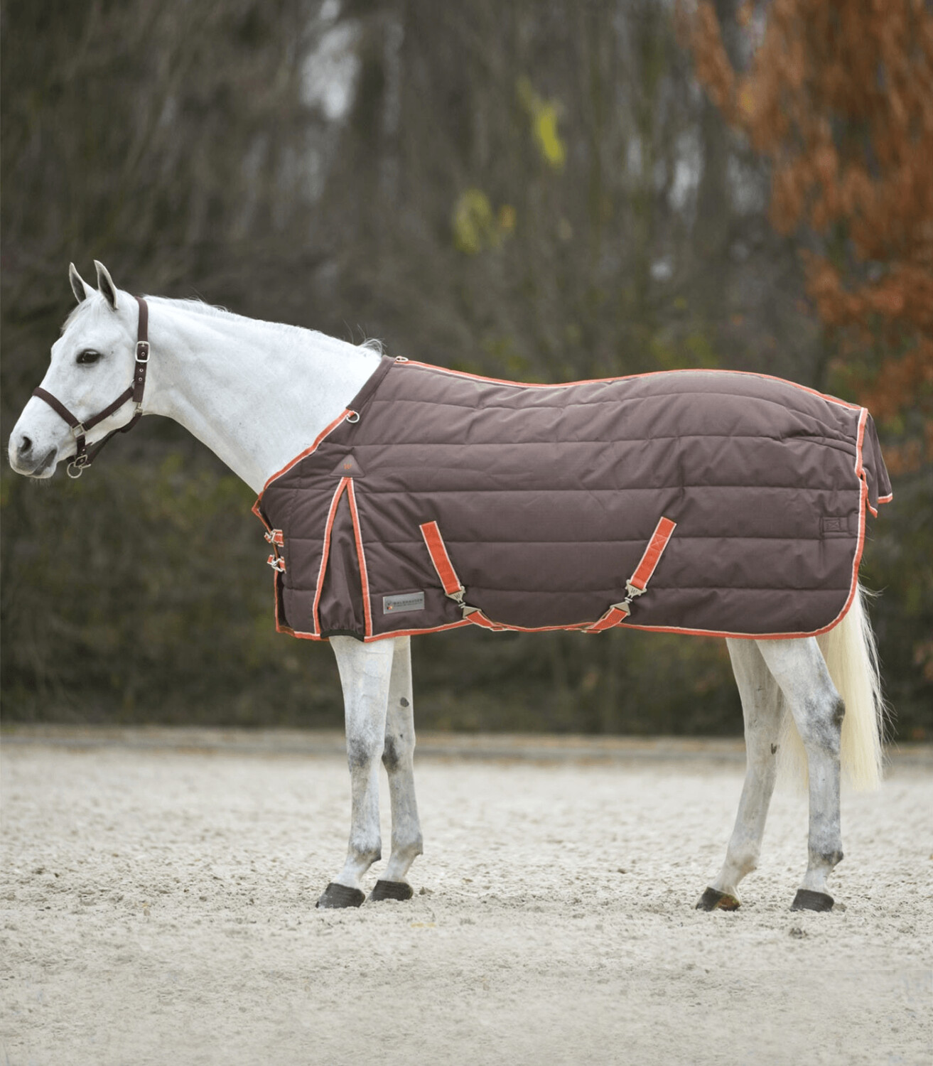 Waldhausen Premium 300g