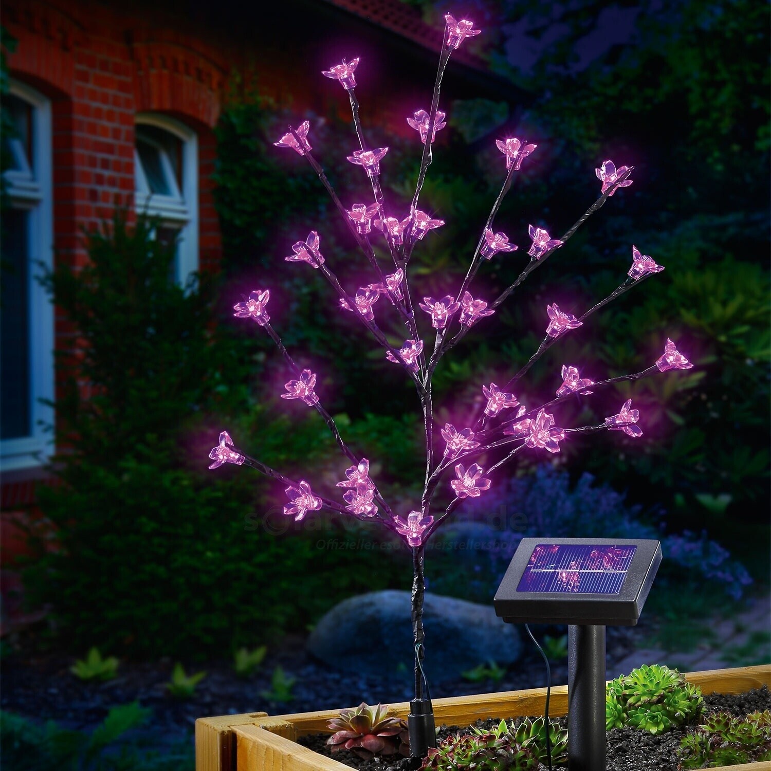 Esotec Bouquet solaire lumineux LED