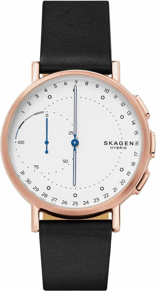 Skagen Signatur Connected (SKT1112)