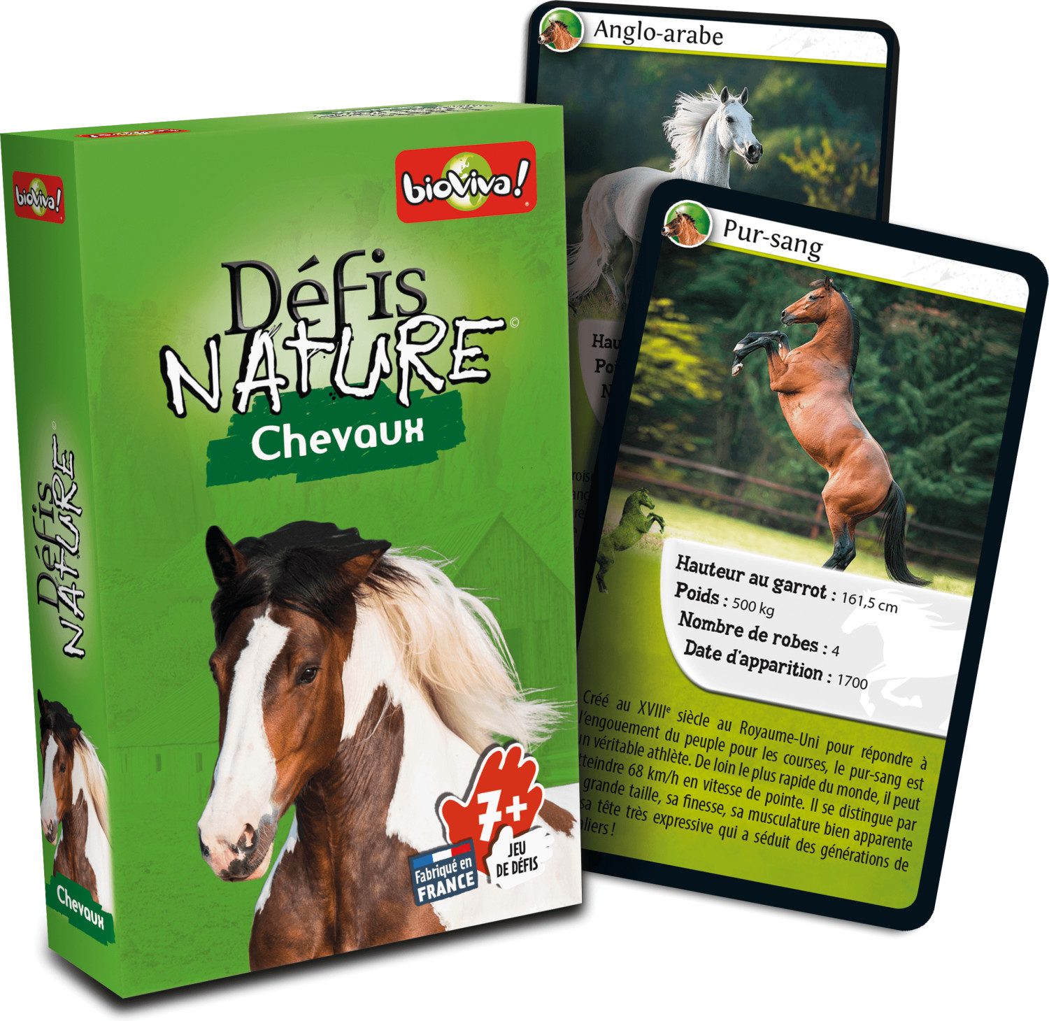 Défis Nature - Chevaux