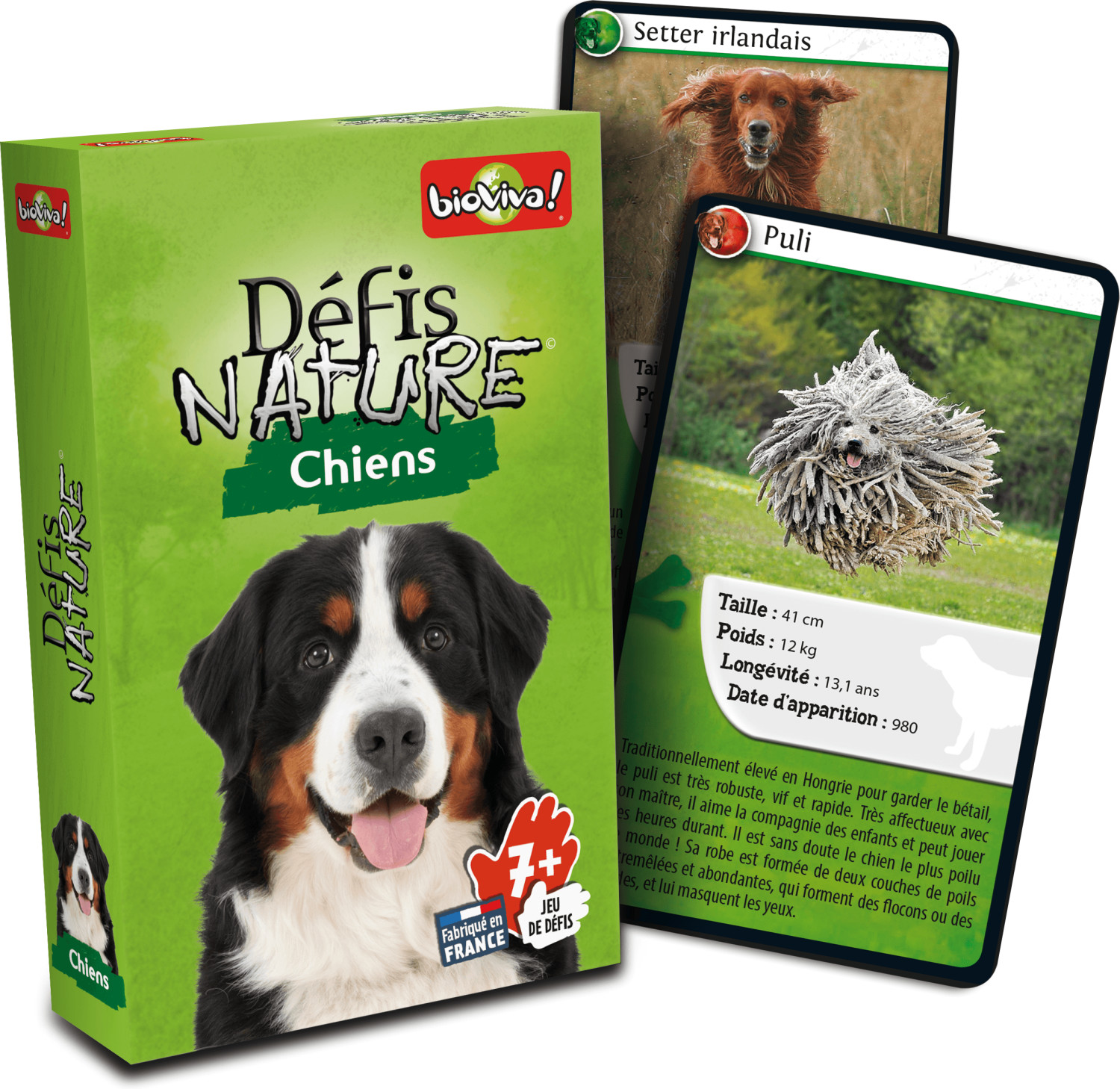 Défis Nature - Chiens