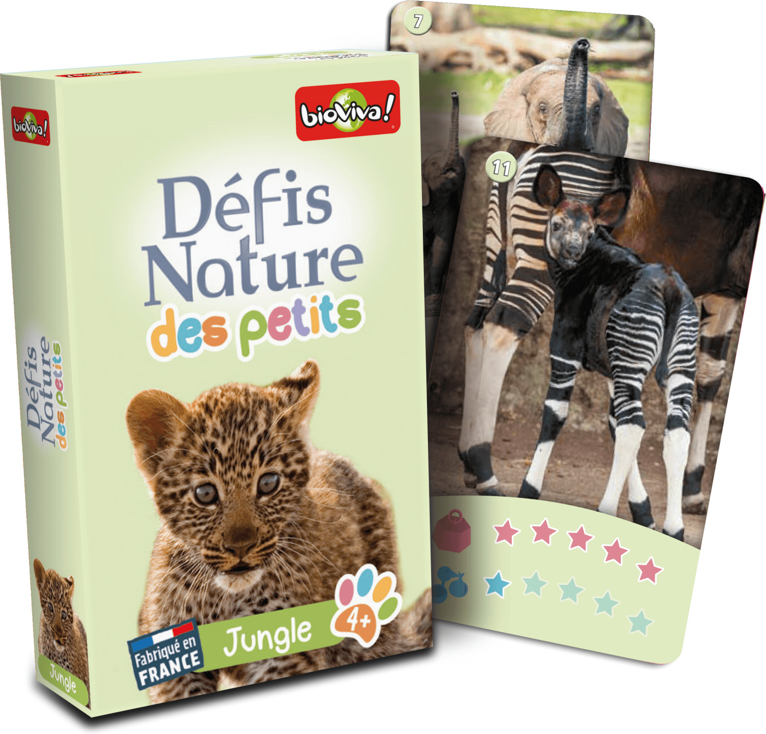 Défis Nature des petits - Jungle
