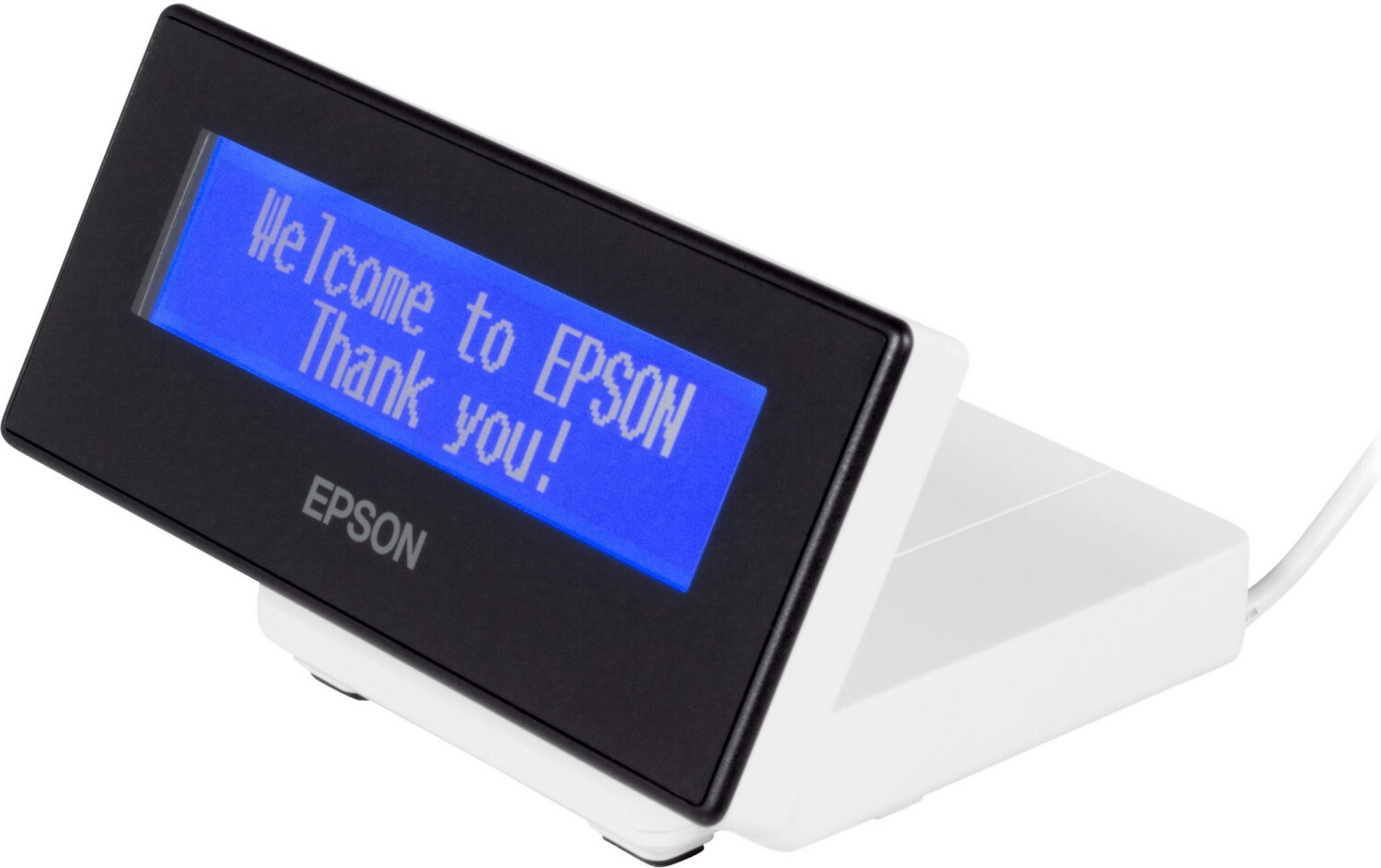 Epson DM-D30
